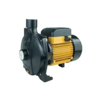 Spaino Monoblock Water Pump 1HP 1x1 High Pressure SP100