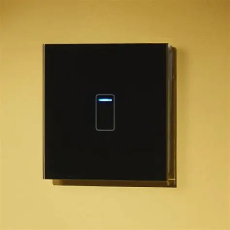 switch-1g-blk-ctorsw1g-1.webp SWITCH 1G BLK - CTORCH - Image 1